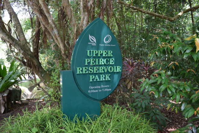 upper pierce