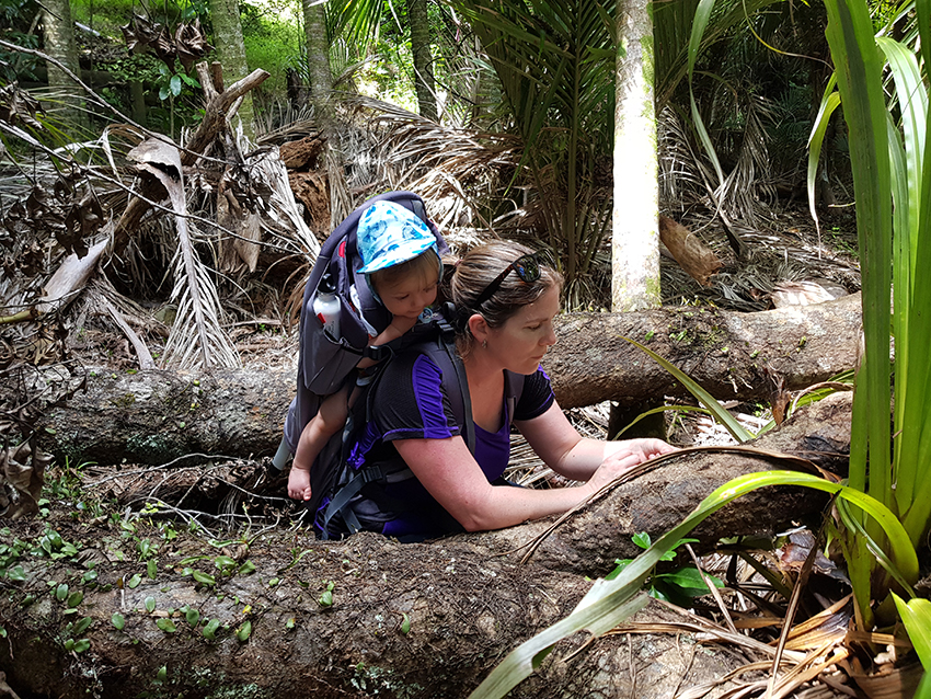 bug hunting with bubs